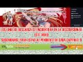 Descargar Valkyrie Drive Mermaid 1 Sub Esp MEGA