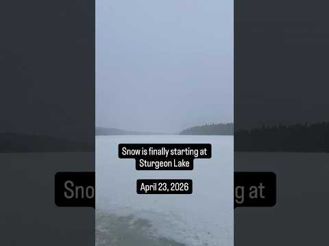 Snow staring at Sturgeon Lake - April 23, 2026