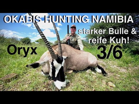 Hunting 2 old oryx | HUNTING SAFARI NAMIBIA | 3/6 - Young Hunt