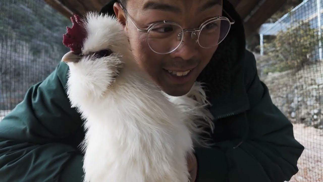 Building Our Chickens A Maximum Security Weasel-Proof Retreat