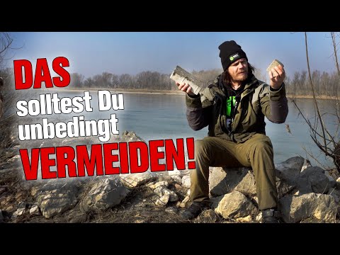 Die PERFEKTE Montage zum Waller-Angeln!