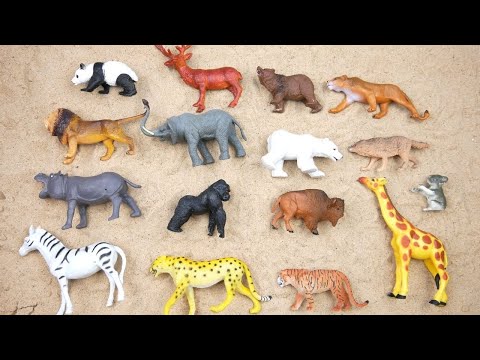 Lion, Elephant, Cheetah, Giraffe, Bear, Tiger, Zebra,  Wolf, Zoo Animals, Toy Wild Animals for Kids