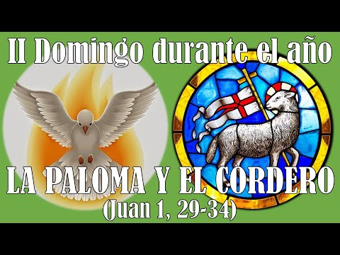 La Paloma y el Cordero. (Juan 1,29-34), 2do. Domingo durante el año.