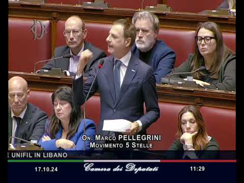 Marco Pellegrini   M5S Camera   Intervento dopo Informativa del Ministro Crosetto in Aula 17/10/2024