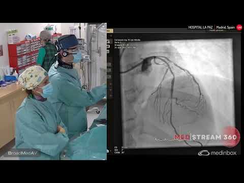 IVUS-Guided Multivessel Coronary Revascularization