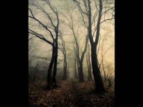 hamun bahrami  moghadam.mp4