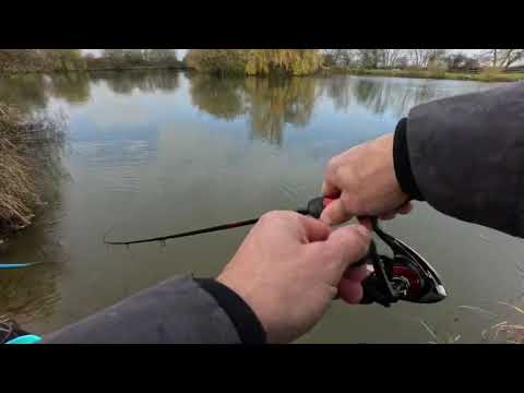 Daiwa Spectron Commercial ultra 10ft method feeder fishing 