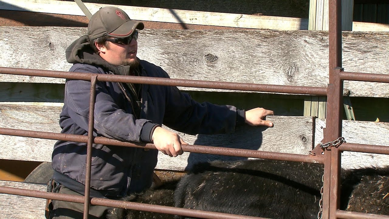 Life After Leavenworth: A Cattle Producer Shares His Story