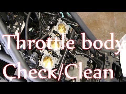 Tiger 800 - Throttle body plate check/clean