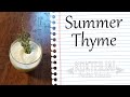 Summer Thyme | Kokteilių Receptai Lietuviškai 🍸 | Penkta Valanda Summer Thyme | Kokteilių Receptai Lietuviškai 🍸 | Penkta Valanda