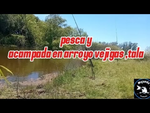 Pesca en el arroyo vejigas ,antes del temporal 