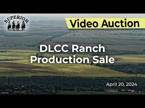 DLCC Ranch Production Sale