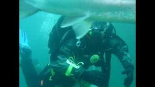 preview picture of video 'NorTec Tec 45 Class 12.01 Dive 1 and 2 at Capernwray 17.06.12'