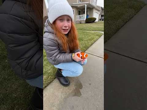 The woman shouted:  “NO FISH IN OUR HOUSE!”