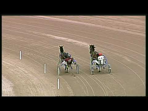 Trotto 23/02/2020 - prova di qualifica