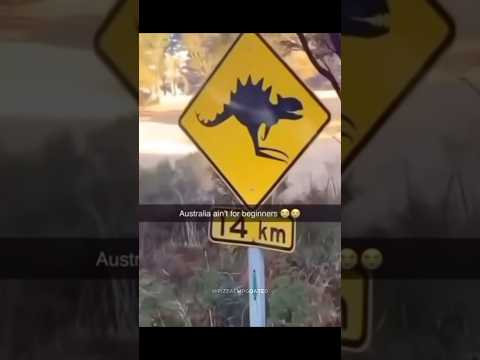 Linggang guli guli guli gwatcha 🗣️🗣️🔥🔥 #shorts #meme #memes