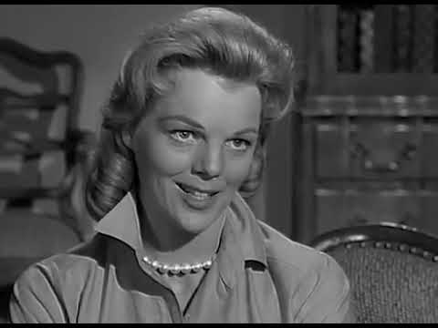 The Fugitive Season 1 Episode 4 Full Episode   Never Wave Goodbye  Part 1