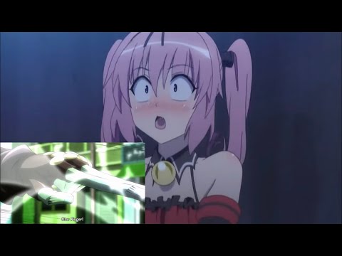 アプテロノティダエについて詳しく解説