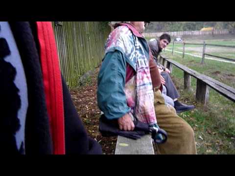 Savarsin  memorabil 2