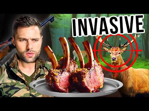 I Spent A Weekend Harvesting 3,000 Pounds of Deer