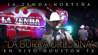 La Burra Orejona (En Vivo) Lyrics English Translation