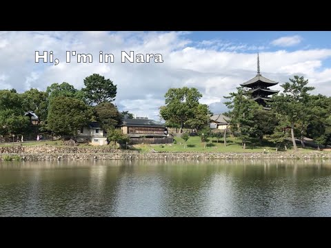 Nara 奈良 Solid Black Ink 墨 Kobaien 古梅園