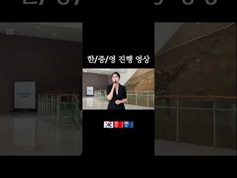 비디오 7