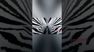 Download lagu itzy wannabe japanese ver. rap part mp3