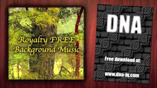 Catchy Synth and Guitar - Royalty Free Background Music