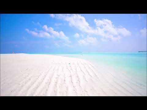 Moonnight feat.  Angel Falls  //  Love Is The Key (DJ Artak Remix)