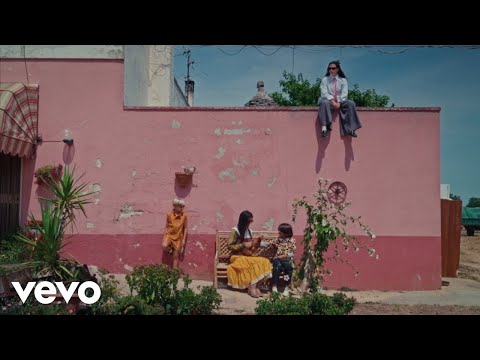 fluente - animalixsempre (Official Video)