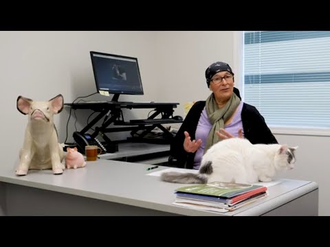 Dr. Jennifer Brown - Designing the swine farms of the future