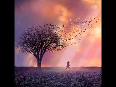 The Lovely Bones - First Light