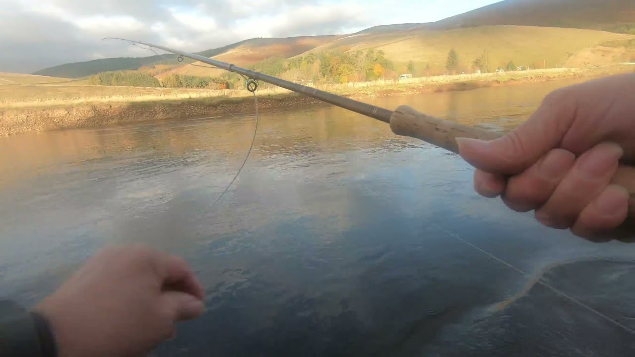 Salmon fishing on the river Tweed at Cardrona 2nd November 2021