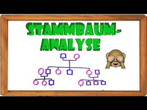 Stammbaumanalyse Teil 2 - Das Analysieren- einfach erklärt |ElenAlina