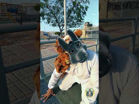 “Aparece el primer terianz en Manaure, La Guajira… y muchos no lo pueden creer.”