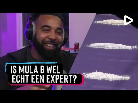 Kan Mula B raden wat de echte sos is? - Het Avondcircus | SLAM!