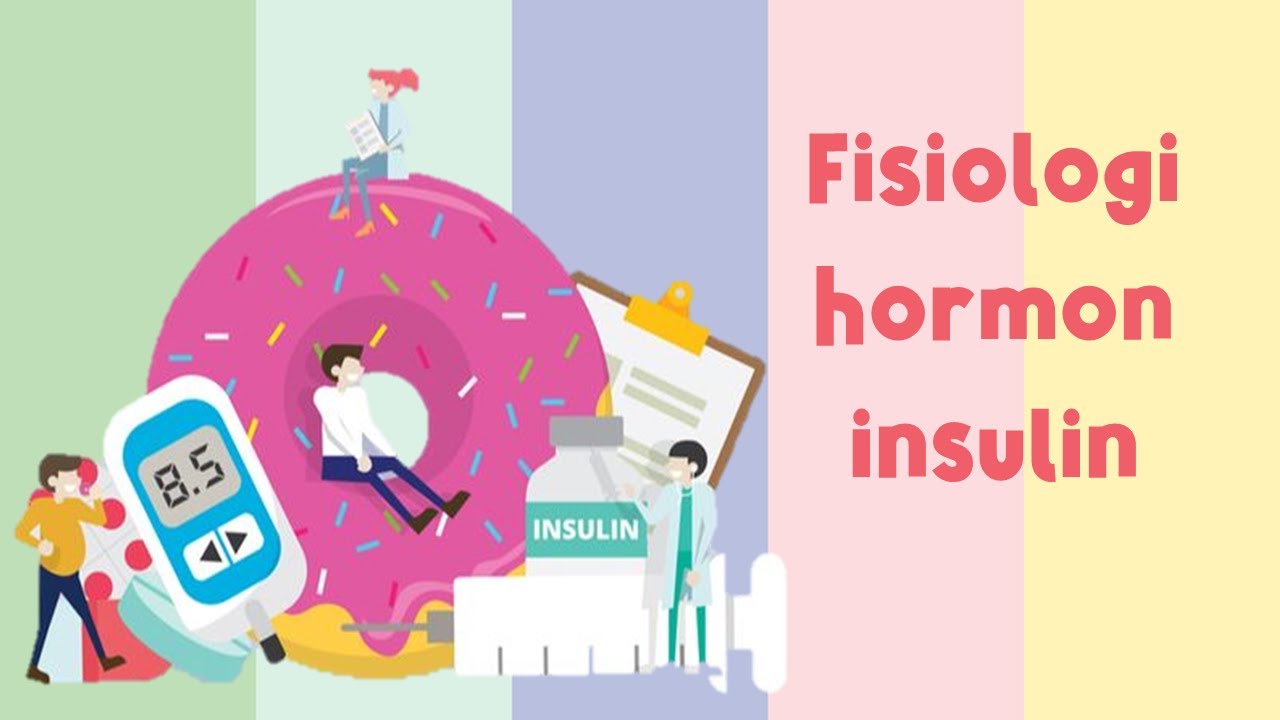 FISIOLOGI HORMON INSULIN | HORMON DAN METABOLISME