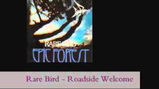 Download lagu Rare Bird - Roadside Welcome (lyrics) mp3 Download lagu Rare Bird - Roadside Welcome (lyrics) mp3