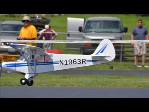 Hangar 9 PA-18 Super Cub