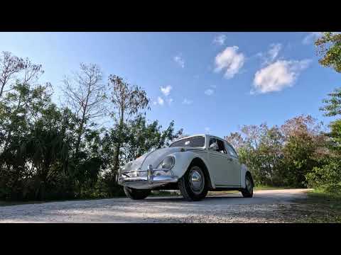 1969 Volkswagen Beetle (CC-1917788) for sale in Delray Beach, Florida