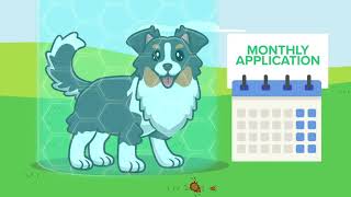 Flea & Tick Treatment for Dogs