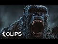 MONARCH Legacy Of Monsters All Clips 2023 Godzilla Series Apple TV