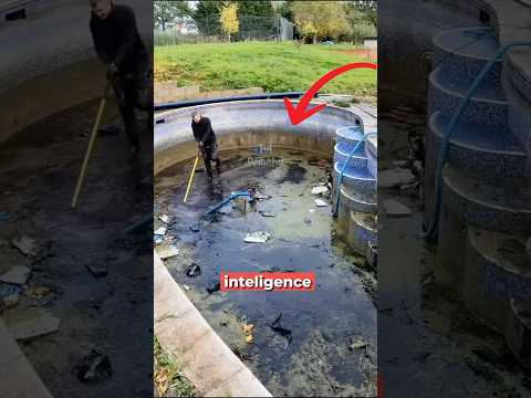 Jak jsem vydělal na opuštěném domu za 175 000 Kč? 💰😱🏡