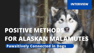 Positive Training Methods for Alaskan Malamutes