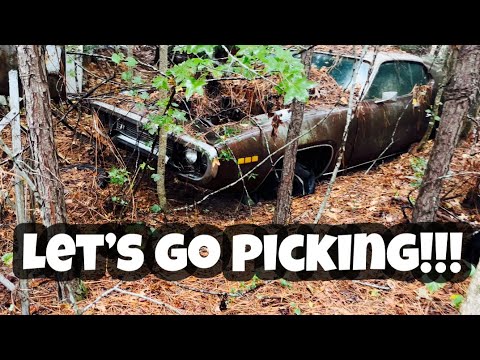We found mopar In the woods! #Plymouth satellites #old cars #rescue mission #vintage cars