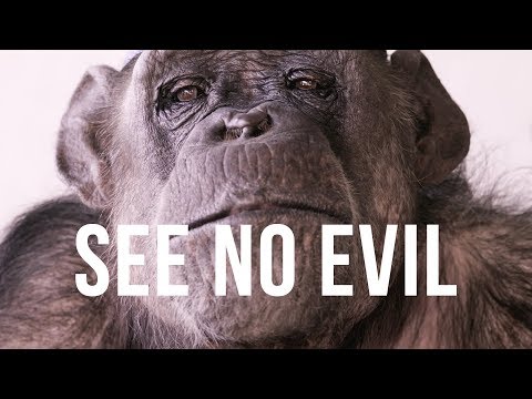 Trailer-Vorschau: See No Evil