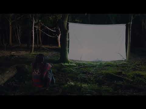 Trees For The Woods - Amie Blu
