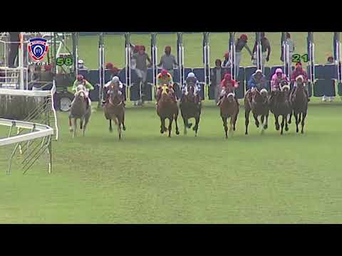 RM5 R8 | Dreamforest | A.Sonaram