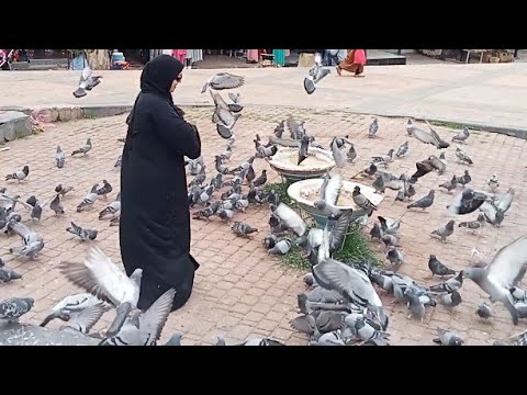 أجواء رمضان قبل الإفطار